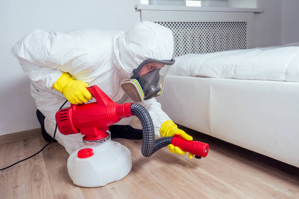 Reliable Edinburg, VA Pest Control Solutions