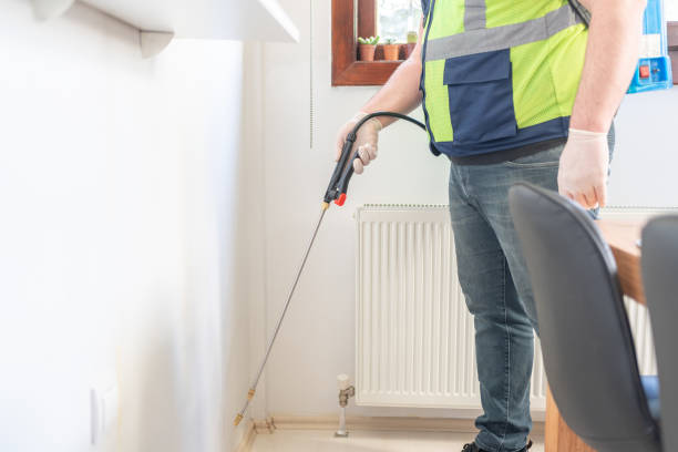 Best Pest Removal Services  in Edinburg, VA