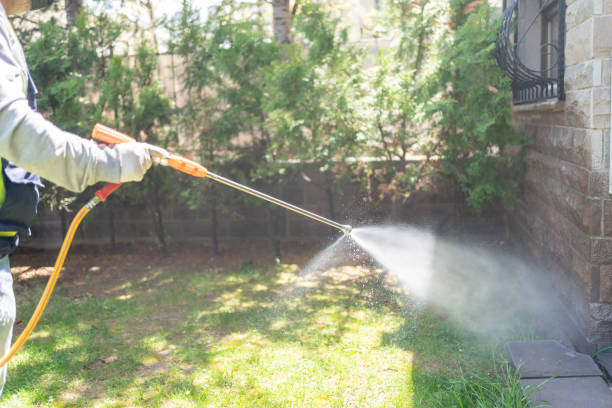 Best Insect Control  in Edinburg, VA