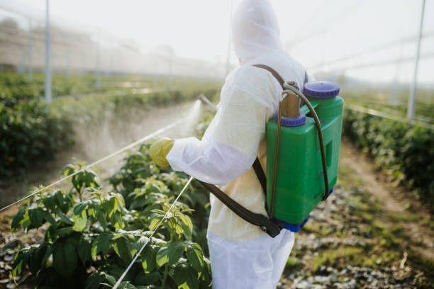 Pest Control for Restaurants in Edinburg, VA